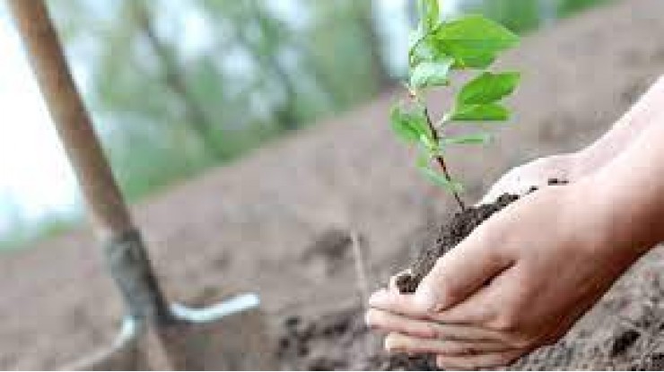 Abierta la inscripción a la campaña de forestación 2022