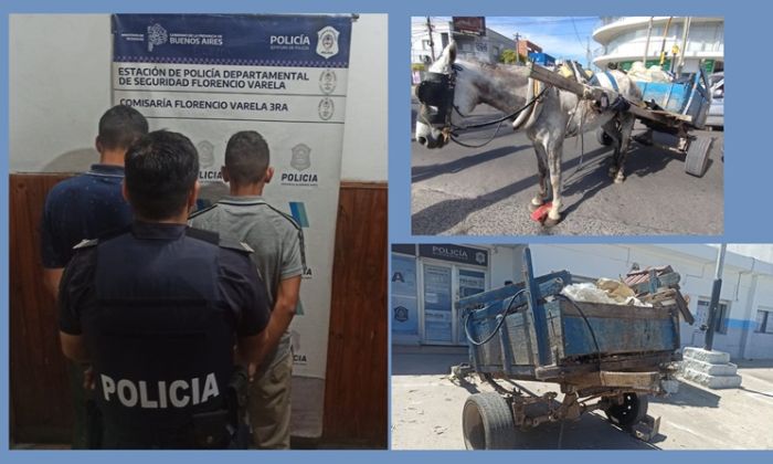 Florencio Varela – Dos carreros detenidos por accidente en vía pública y maltrato animal