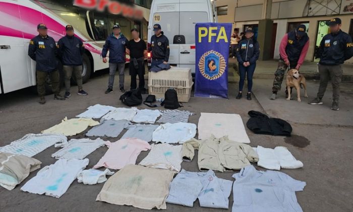 Salta - La PFA detuvo a un traficante italiano con 11 kilos de cocaína