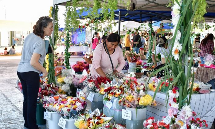 F. Varela - Fiesta de la Flor 2024: producción, diversidad e identidad