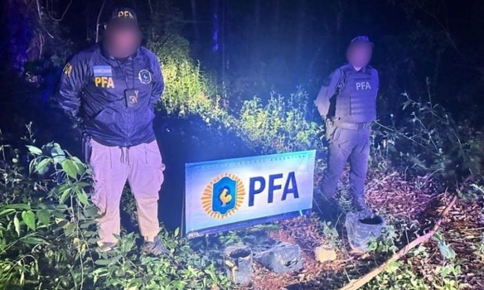 PFA: Operativo saturación en rutas, terminales y accesos a grandes urbes de todo el país