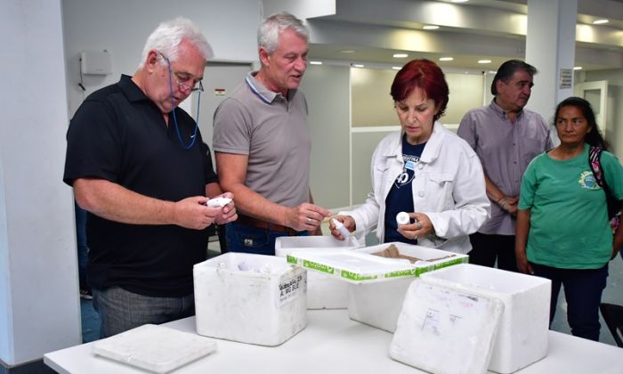 F. Varela - Municipio y Provincia reforzaron acciones contra el Dengue