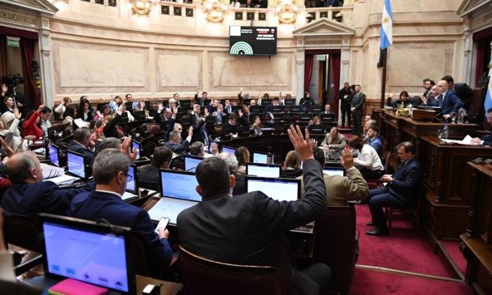 El Senado confirmó la Ley de emergencia en discapacidad. Rechazo al veto presidencial