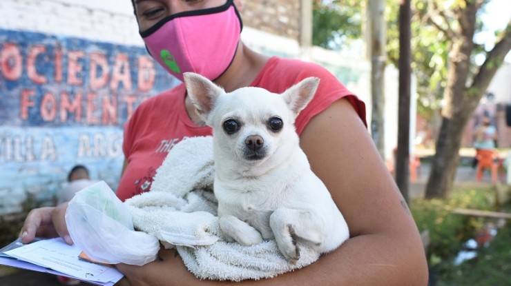 Barrio Libertad recibe al servicio municipal para mascotas