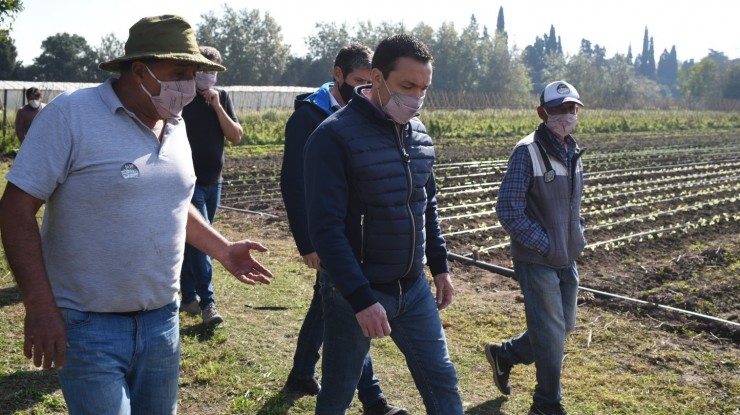 Calidad agroecológica en la producción varelense