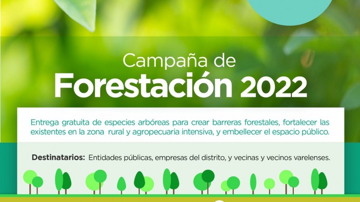 Campaña de forestación 2022