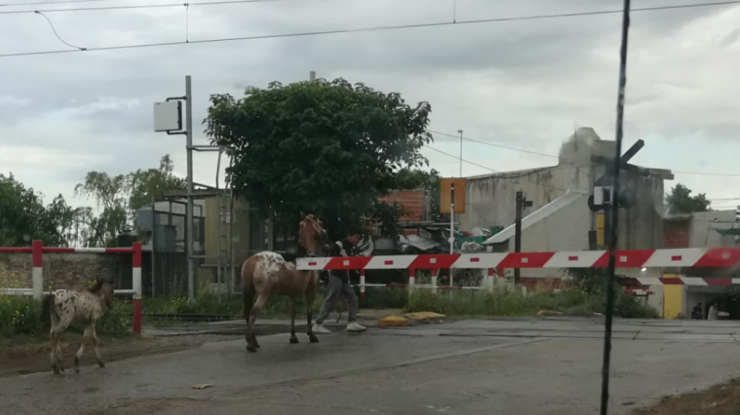 Peligro en las vías, pudo ser una tragedia