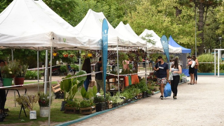 Feria hortiflorícola