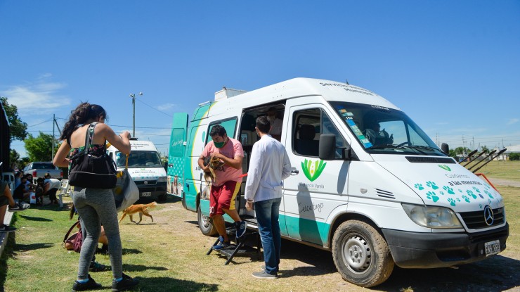 El móvil municipal de castraciones de mascotas estará en Villa Angélica