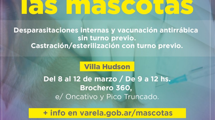 Atención gratuita para mascotas en Villa Hudson