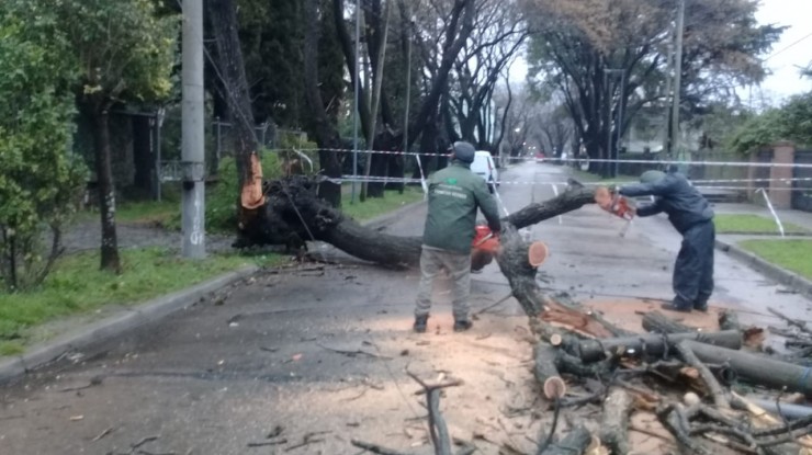 Trabajos en los barrios