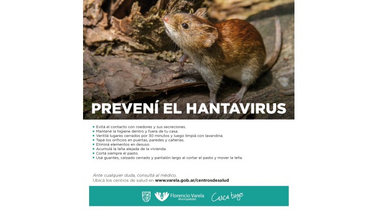 Hantavirus: prevención, síntomas y tratamiento