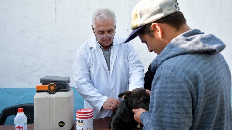 El móvil de servicio veterinario municipal realizó su primera atención