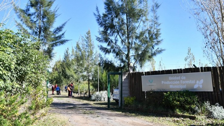 Entrega gratutita de especies arboreas en Florencio Varela