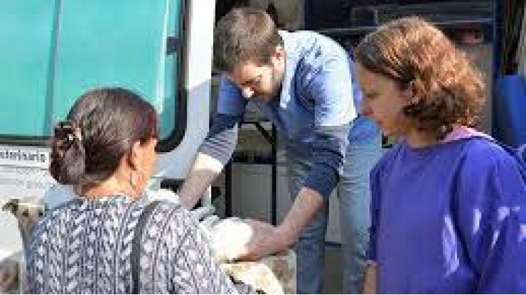 El móvil del servicio veterinario municipal estará en Villa Argentina