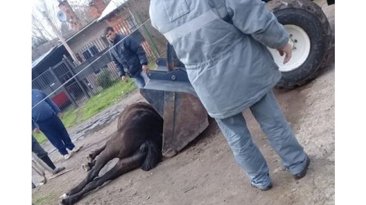 Pudo ser tragedia, cayeron postes de luz con cables de alta tensión 