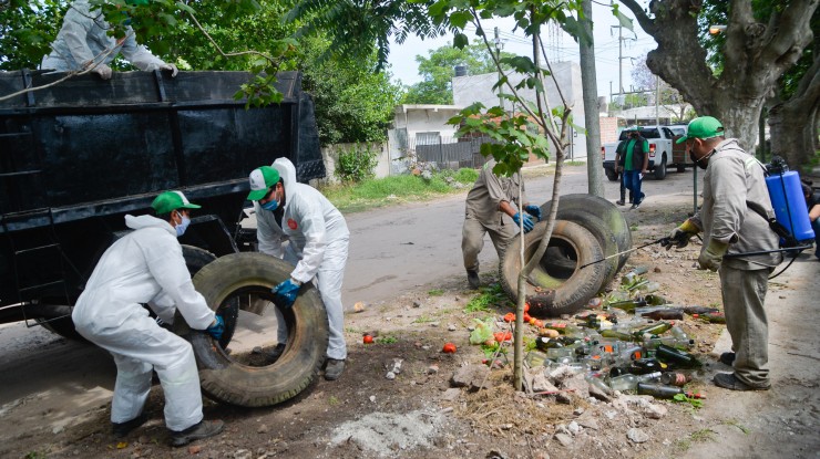 Prevención del dengue