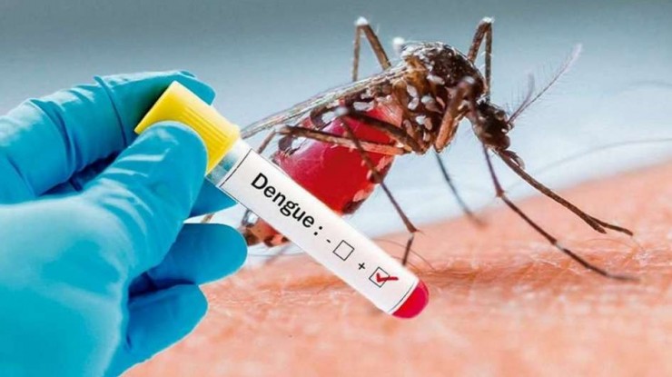 Día Mundial de la lucha contra el Dengue