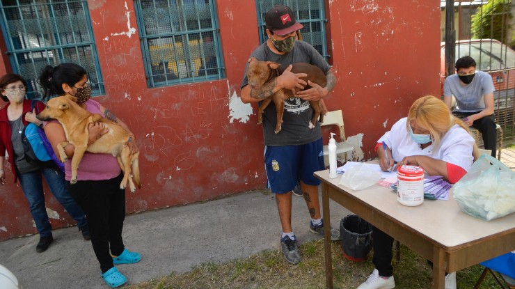 Servicio veterinario gratuito