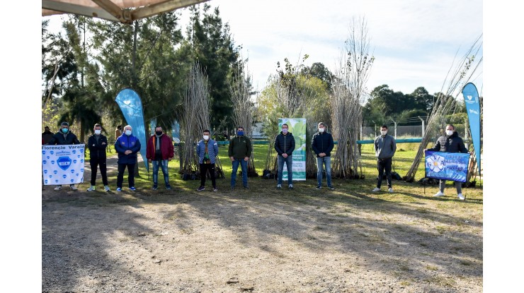 Campaña de forestación junto a clubes deportivos y productores locales