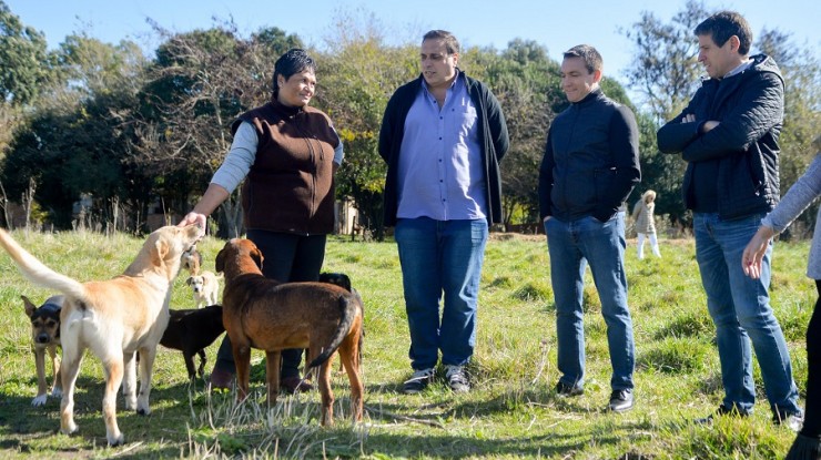 Watson visitó el refugio de mascotas “La Banda de Sarita”