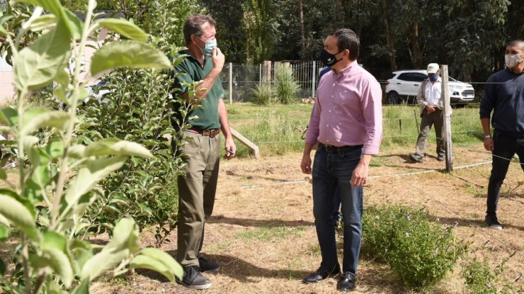 Watson recorrió la zona rural