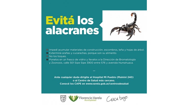 ¿Cómo actuar ante la aparición de Alacranes?