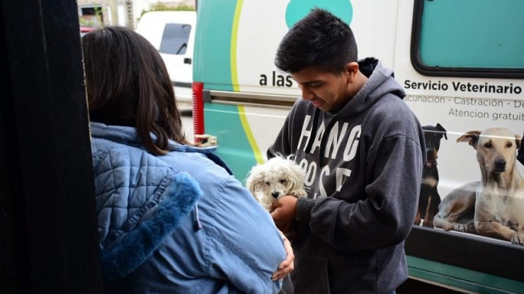 Servicio veterinario en el barrio La Carolina II