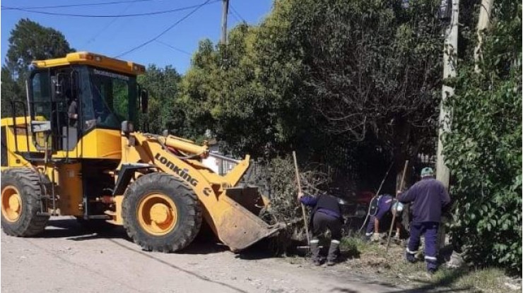 Trabajos de limpieza