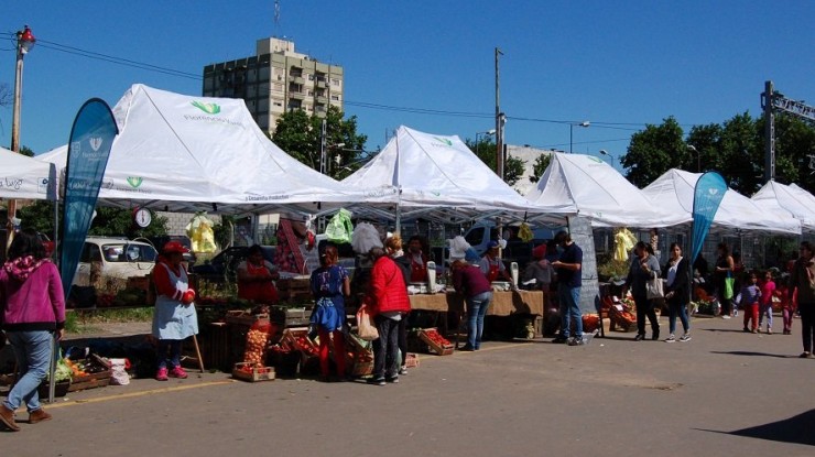 Mercado Activo y Mercados Bonaerenses