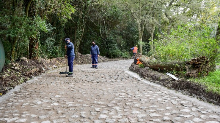 Obras en el Museo Histórico Provincial “Guillermo Enrique Hudson”