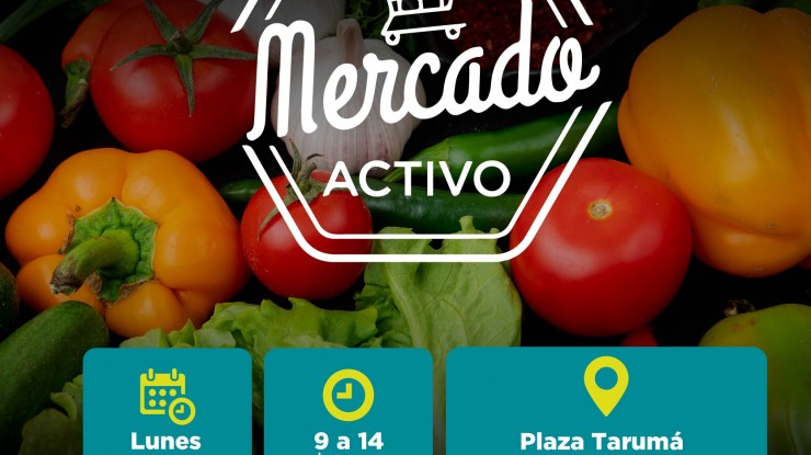 Mercado Activo en la Plaza Tarumá